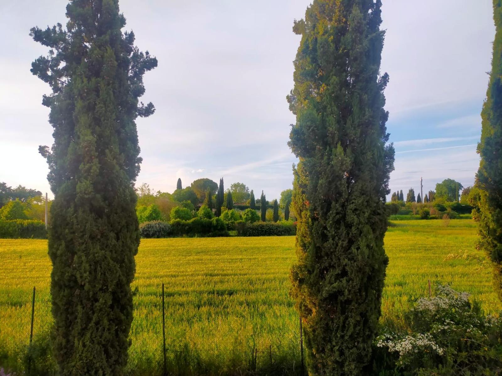 Villetta Con Parco Vicino San Gimignano Colle di Val d'Elsa Exterior foto